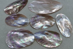 Large 4pcs Natural Purple Red  Tahitian blacklip mother of pearl shell natural cut,freeform slab tahitian Oyster cabochon