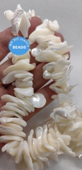 Natural Shell Beads, Nuggets Freeform Beads Nugget Shapechips beads for beaded jewelry making, white shell chips nugets 24pcs Natural Shell Beads, Nuggets Freeform Beads Nugget Shapechips beads for beaded jewelry making, white shell chips nugets 24pcs