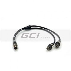 Manufacture Car Auto Audio cable(YR-32071)