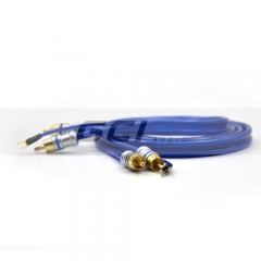 Manufacture Car Audio/Video RCA cable/ RCA Plug (R-42052)