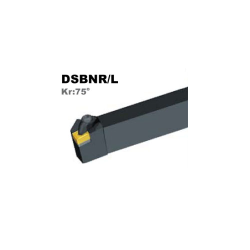 DSBNR/L tool holder