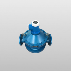 Positive Displacement Flowmeter (MEGAPD)