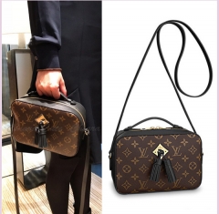 LV Travel Camera Bag shoulder bag M43555