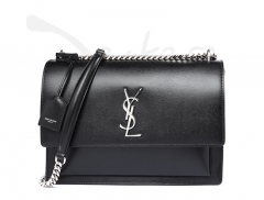 Yve saint Laurent Women's Bag 498779D420N