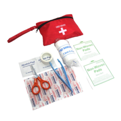 Mini First Aid Bag