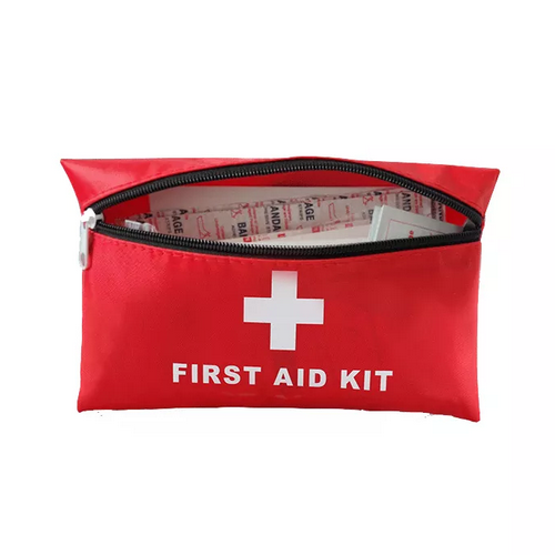 Mini First Aid Kit