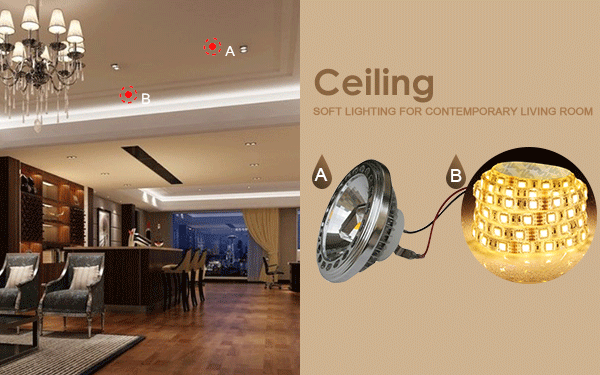Ceiling Lighting Case 4