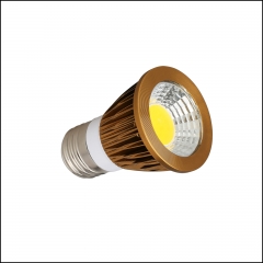 Type6:Brozen Cover LED COB Spotlight