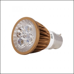 Brozen Cover High Power LED Spotlight