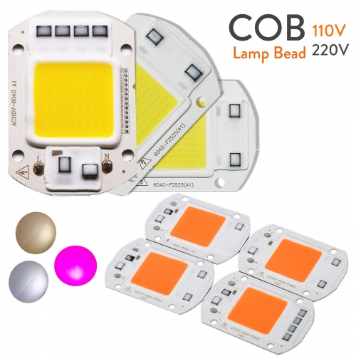 Ranpo LED COB Chip Floodlight 20W 30W 50W Smart IC Driver Grow Lamp Plant 110v 220v