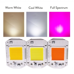 Ranpo LED COB Chip Floodlight 20W 30W 50W Smart IC Driver Grow Lamp Plant 110v 220v