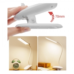 2-in-1 Desk Lamp