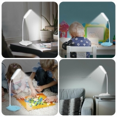 Adjustable Desk Lamp