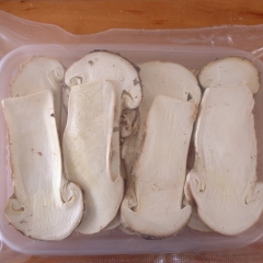 Freeze-dried Tricholoma matsutake