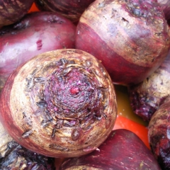 Freeze-dried Beetroot