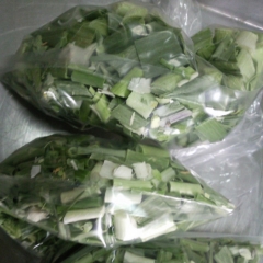 Freeze-dried Garlic leaf