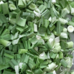 Freeze-dried Garlic leaf