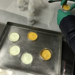 Freeze-dried Biological Enzyme