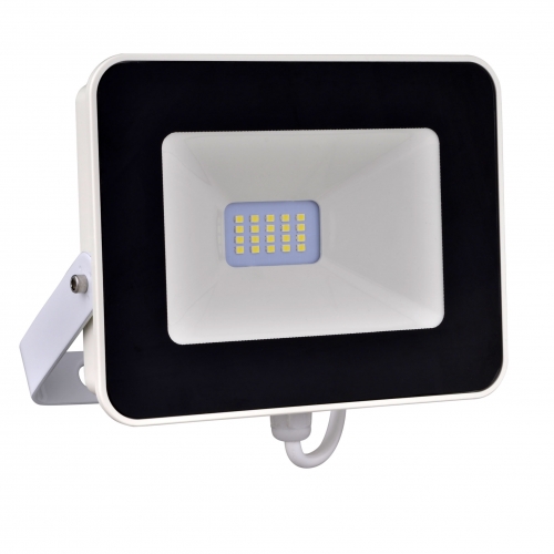 LED Flood Light, FL-01-20