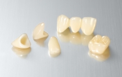 Zirconia Crown&Bridge