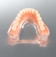 Full Acrylic Denture