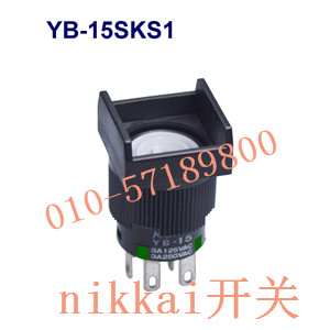 Daily open NKK switch, import 16MM waterproof button switch, YB-15RKS1 anti-static button switch