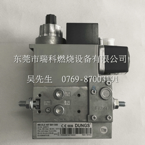MB-DLE407B01S50 Germany Dungs Single Fuel Gas Valve Group   Supply the Model DUNGS Valve Group