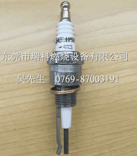 13047 Day Eclipse Origional Product Combustor Spark Plug