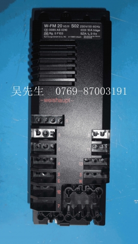 W-FM20 Weishaupt Combustor Controller   Weishaupt Programmable Controller