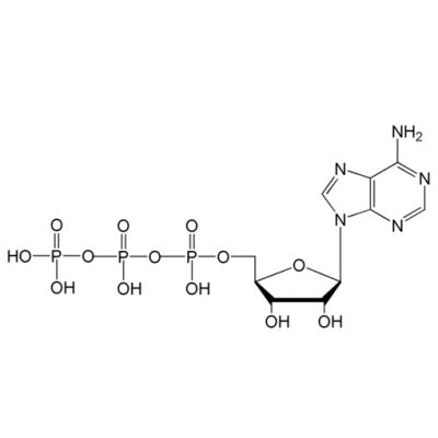 Adenosine Triphosphate (CAS:56-65-5)
