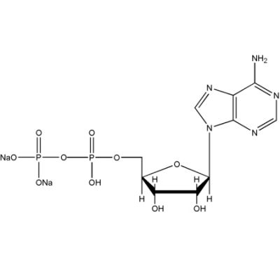 Adenosine 5'-diphosphate Disodium Salt (CAS:16178-48-6)