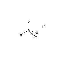 Monopotassium Phosphite (CAS: 13977-65-6)