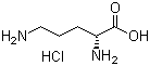 D(-)-2,5-Diaminopentanoic Acid HCL(CAS:16682-12-5)
