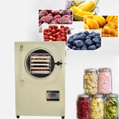 Home use small vacuum freeze dryer