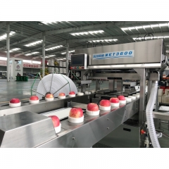 Foam Net Packing Machine for Fruits Packaging