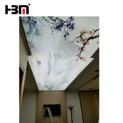 China custom aluminum profile led strip frameless ceiling light box advertising