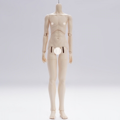 1/3 male body