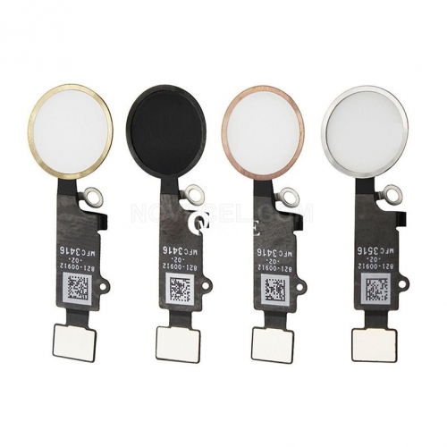 Home Button with Flex Cable for iPhone_White