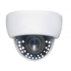 IP65 WDR 20M IR 2.0MP AHD/TVI/CVI/CVBS CCTV Camera