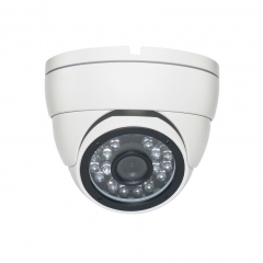IP65 Dome 15M IR 2.0MP AHD/TVI/CVI/CVBS CCTV Camera