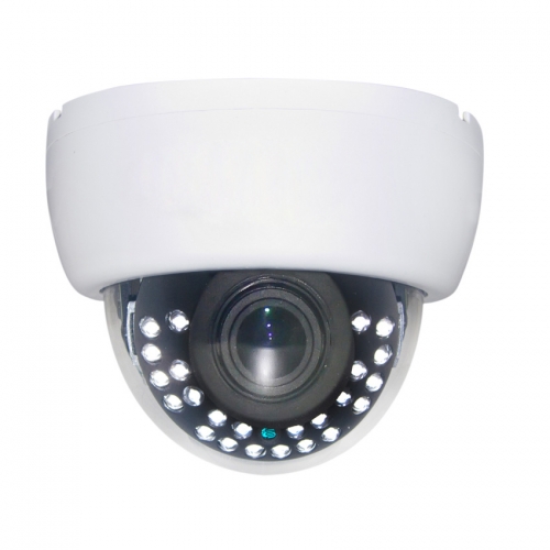 IP65 Plastic Dome 20M IR 2.0MP AHD/TVI/CVI/CVBS CCTV Camera