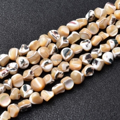 Caramel Trochid Shell Nugget, Approx 8-10mm, Approx 38cm/strand