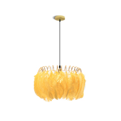 Northern Lighting 1 Light Feather Chandelier in Brass for Bedroom Living Room