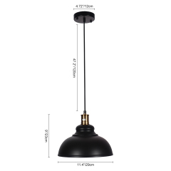 Industrial Rustic 1-Light Black Pendant Light for Restaurant Coffee Shop