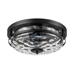 2-Light Clear Seeded Glass Flush Mount Black Ceiling Light