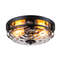 2-Light Clear Seeded Glass Flush Mount Black Ceiling Light