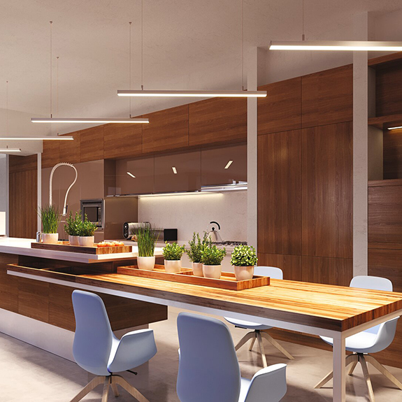 S50E Pendant/Surface LED Profile