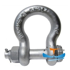 Bolt Type Safety Bow Shackle G2130