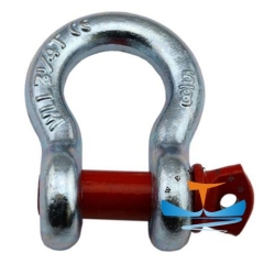 Drop Forged Screw Pin Anchor Shackle