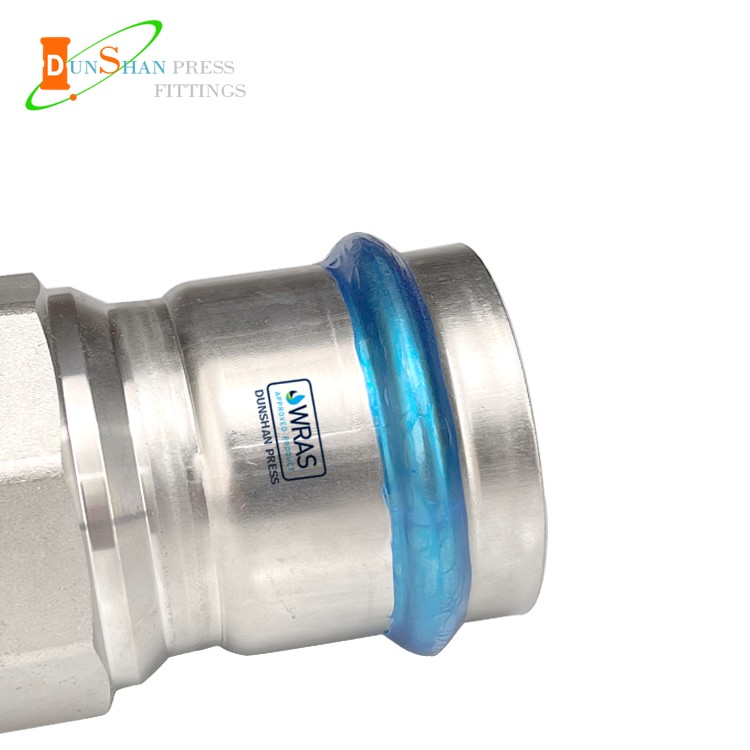 DS Stainless Steel V Pess Flange Adapter